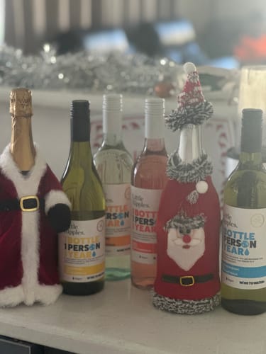 Reviewer's Greatest Hits - 6 Pack of wine, with two bottles decorated in festive Santa costumes.