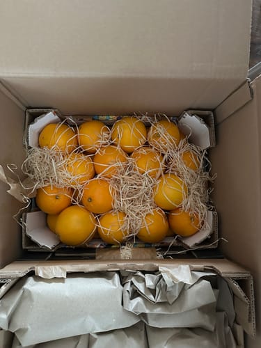 Kunde zeigt die gelieferten Bio Navel Orangen in der offenen Versandbox mit Polstermaterial.