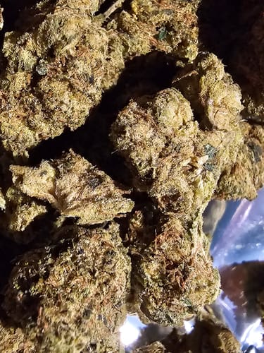 Customer photo review of Cheap THCA Flower Ounce