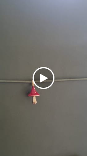 Customer video review of Folio Charm - TOADSTOOL