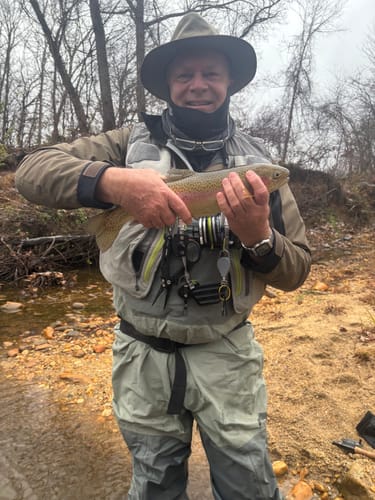 Customer photo review of Zebra Midge - Black