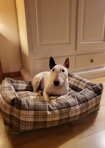 Customer photo review of Divanetto Cotone Panama Scozzese Trama Nocciola