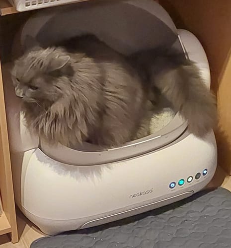 Customer photo review of Neakasa M1 Lite Plus Automatische Katzentoilette – Verbesserte Version