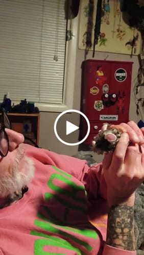 Customer video review of Interactive Motion-Activated Mouse Cat Toy