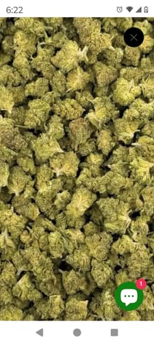 Customer photo review of Purple Reign Light Assist THCA