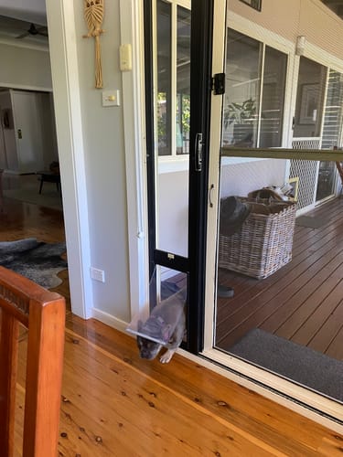 Customer photo review of Replacement Pet flap V3.0