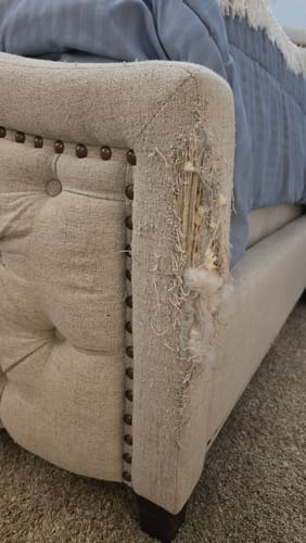 Customer photo review of Multifunctional Cat Scratching Carpet