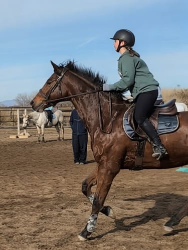 Customer photo review of Stretch Relief Girth