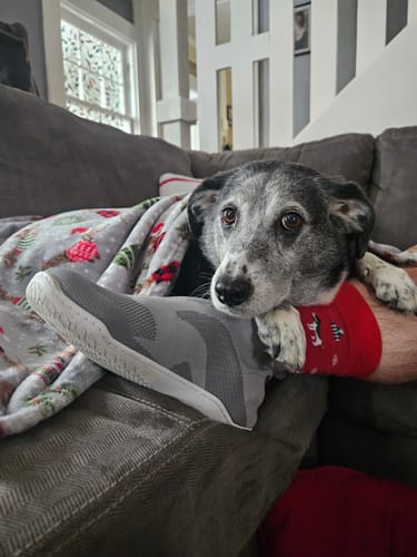 Customer photo review of THE OTISHI 2.0 "Moonstone Gray"