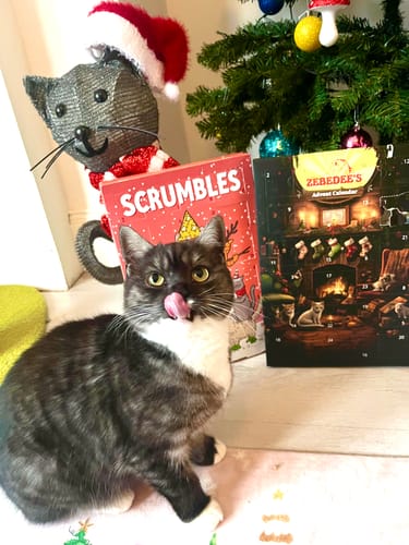 Customer photo review of Zebedee Luxury Advent Calendar For Cats - Freeze Dried Chicken Liver