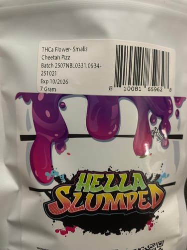 Customer photo review of Shipping Protection by Route