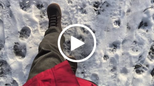Customer video review of Ash - Winter Barefoot Shoes