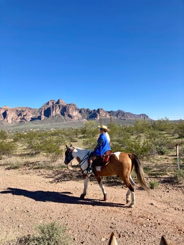 Customer riding their horse in the desert, which the review says is thriving on the Osteo-MAX supplement.