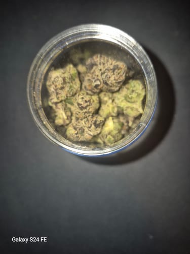 Customer photo review of Lemon Cherry Gelato Exotic THCa Flower 10g Hybrid