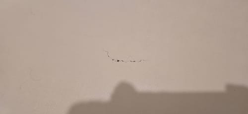 Customer photo review of Floor Crack Repair - Tub and Shower Repair Kit