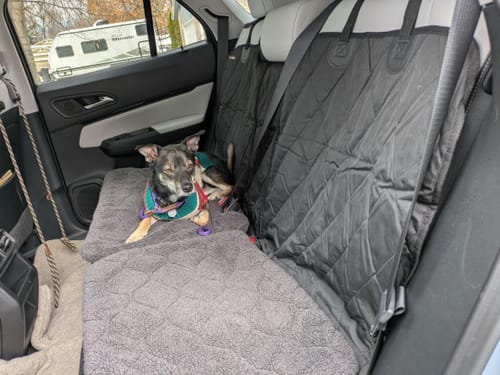 Customer photo review of Rear Seat Cover for Fold Down Seats - No Hammock