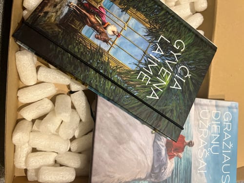 Dominyka G. review of Užrašinė „Čia gyvena laimė“ 2 image 1 out of 1