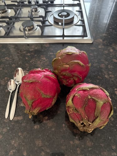 Kunde zeigt drei ganze, rote Drachenfrüchte auf einer dunklen Küchentheke.