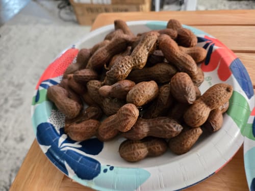 Customer photo review of Boil-The-Bag Boiled Peanuts (12 Bags)