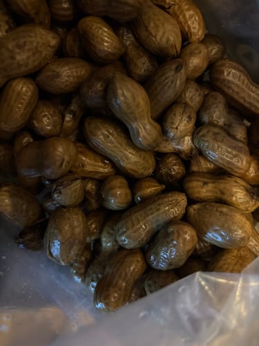 Customer photo review of Christmas Gift Bag