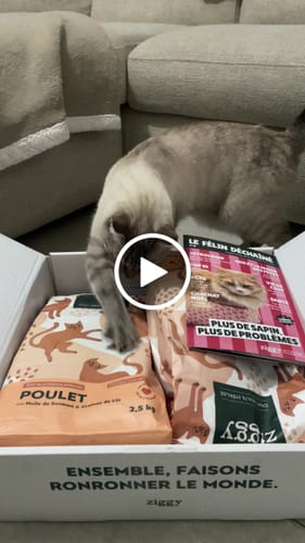 Avis vidéo d'un client sur Croquettes Chat Stérilisé Sans Céréales - Poulet