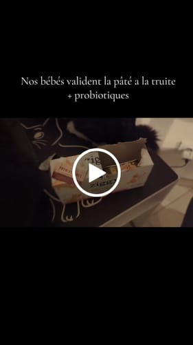 Avis vidéo d'un client sur Coffret Découverte Chaton - 1kg Croquettes + 8 Pâtées + 3 probiotiques