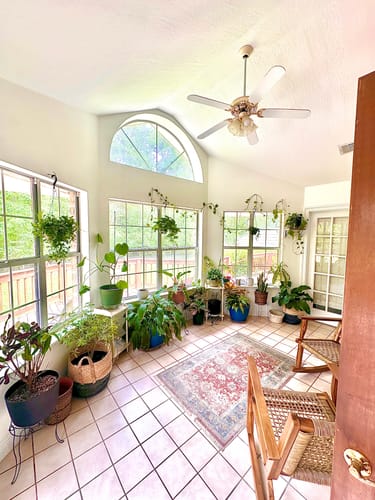 Customer's sunroom filled with many flourishing green plants in various pots near large windows.
