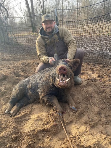 Customer photo review of Pig Brig Trap System