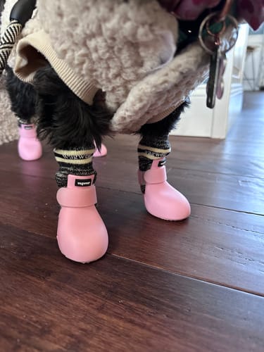 Customer photo review of WagWarmers