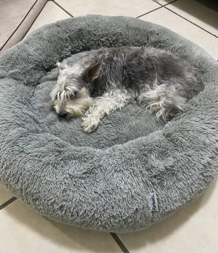 Customer photo review of Funda Original para Cama Antiestrés Para Perros (cama no incluida)