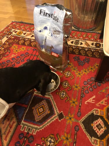 Customer photo review of Crocchette per cani di piccola taglia Pesce Azzurro dell'Oceano Pacifico