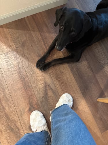 Customer photo review of Nordic Fluffy Slippers