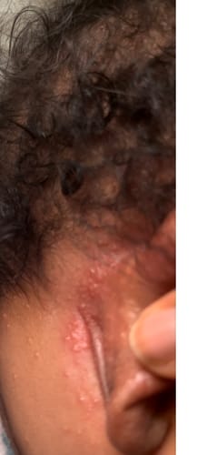 Customer photo review of The Regulars Bundle