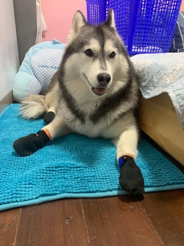 วิลาวรรณ review of Protector bootie image 1 out of 1