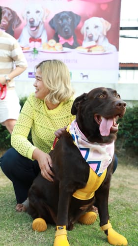 Chittraporn review of WagWellies® by wagwear image 1 out of 1