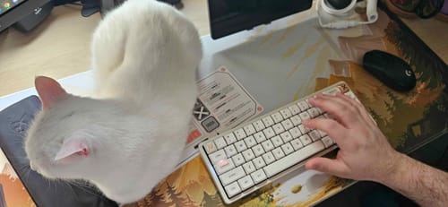 Customer photo review of Magi65 Aluminum Low Profile Mechanical Keyboard