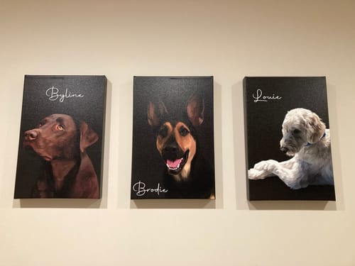 Customer photo review of Pet Art Canvas Wrap