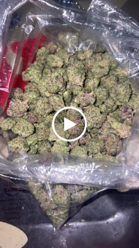 Customer video review of Bulk THCA Smalls