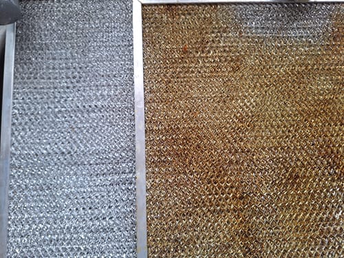 Customer photo review of SHYN Grime Lifter