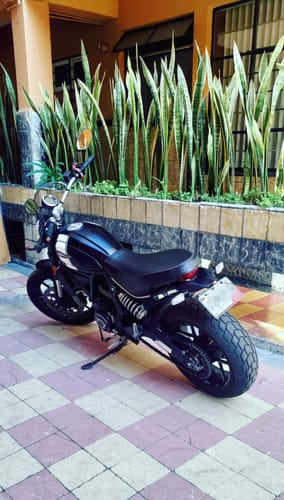Customer photo review of Ducati Scrambler Tail Tidy 2015-2022