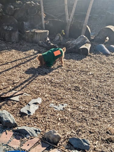 Customer photo review of Monkey Fleece Jacket