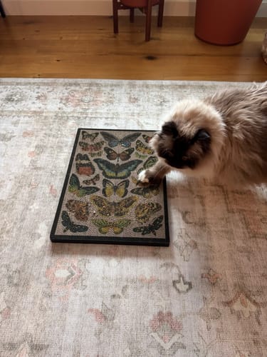Customer photo review of Butterfly Chart - Luxury Cat Scratching Board