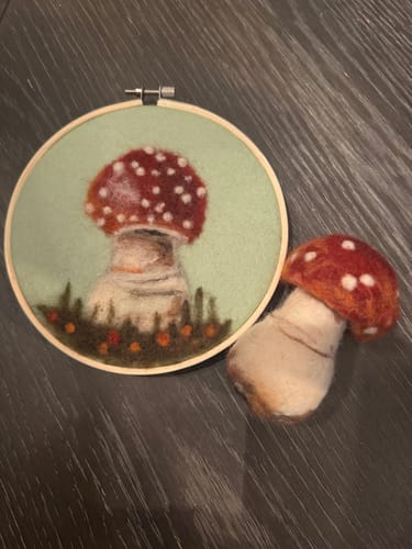 Customer photo review of Sophie Wheatley's Felted Fungi Supplies Box