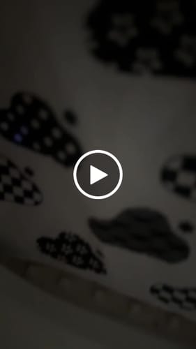 Customer video review of Self-Cleaning Litter Box