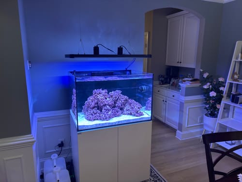 undefined review of Fiji Cube 81 Gallon EXT Rimless Tank Package image 1 out of 1