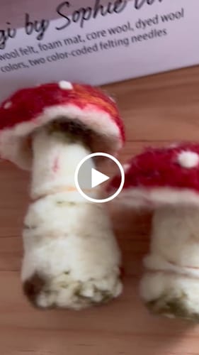 Customer video review of Sophie Wheatley's Felted Fungi Supplies Box