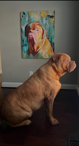 Customer photo review of Custom Pet Portrait - Abstract Style