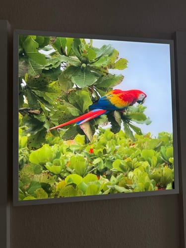 Customer photo review of Leuchtbild Acrylglas Canvalight® DIA | Eigenes Motiv | Quadrat