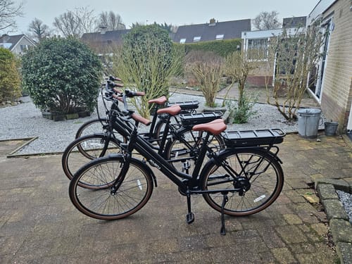 Customer photo review of Daily D7