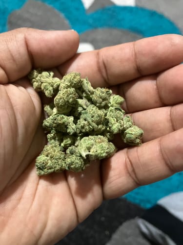 Customer photo review of AK-47 - Greenhouse THCA (Smalls)